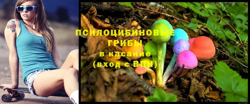 Галлюциногенные грибы Magic Shrooms Тырныауз